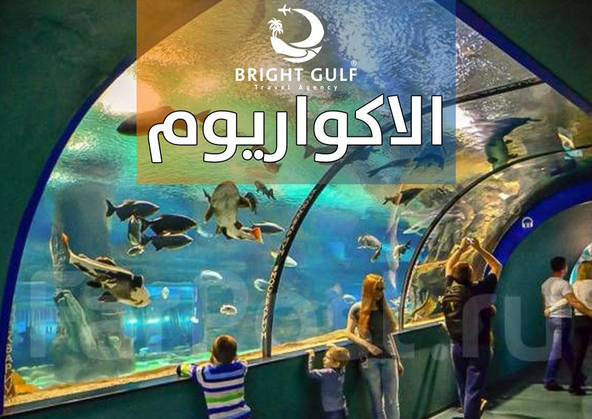 الاكواريوم